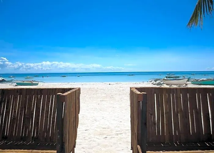 Sunday Flower